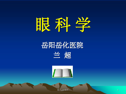 《眼解剖生理》PPT课件 (2)