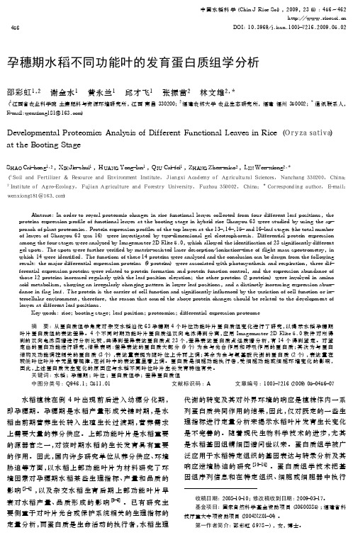_FONT+face=Verdana_孕穗期水稻不同功能叶的发育蛋白质组学分析_FONT_