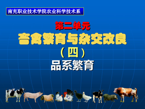 品系繁育