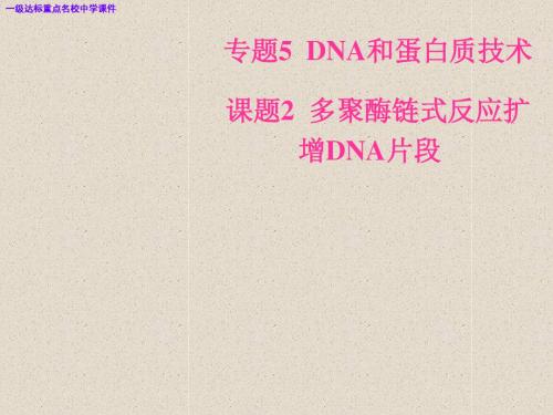 高三生物专题5DNA和蛋白质技术课题2多聚酶链式反应扩增DNA片段课件