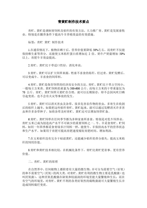 青黄贮制作技术要点