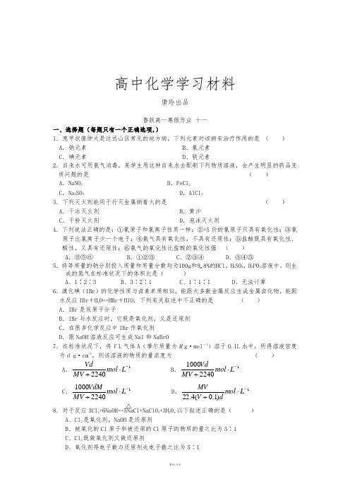 鲁科版高中化学必修一高一化学寒假作业11.docx