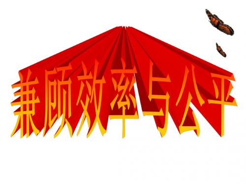高一政治兼顾效率与公平1