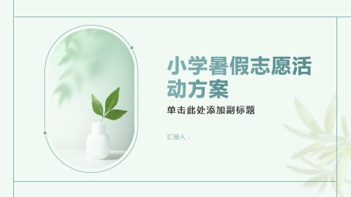 小学暑假志愿活动方案