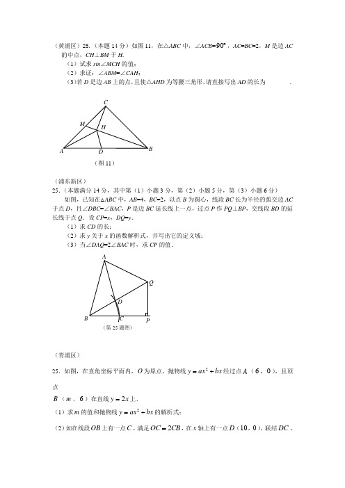 2011二模数学压轴题