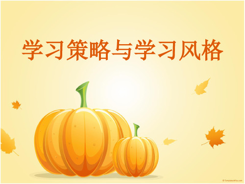 学习策略及风格
