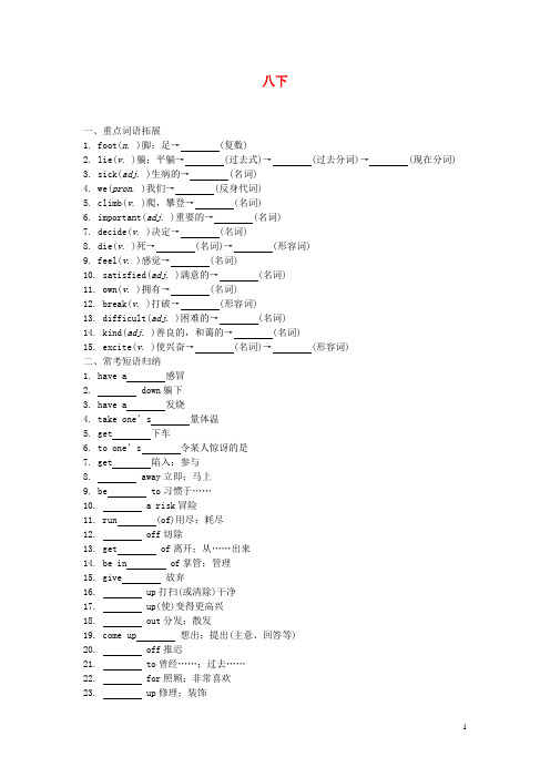 中考零距离山东省临沂市中考英语专题复习 八下(语法考点精讲+真题精炼)