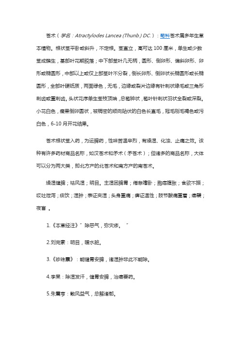 苍术