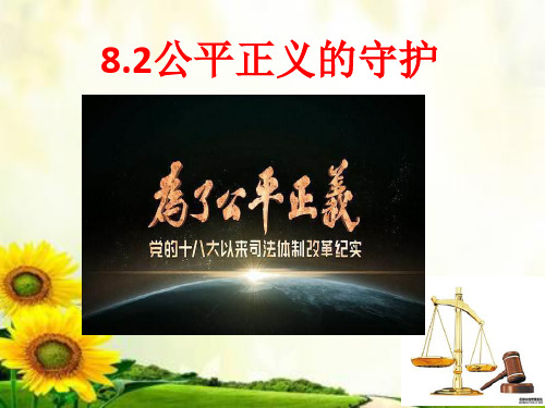 人教版(部编)八年级下册道德与法治：公平正义的守护(13)