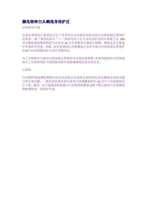 濒危物种白头鹤现身保护区