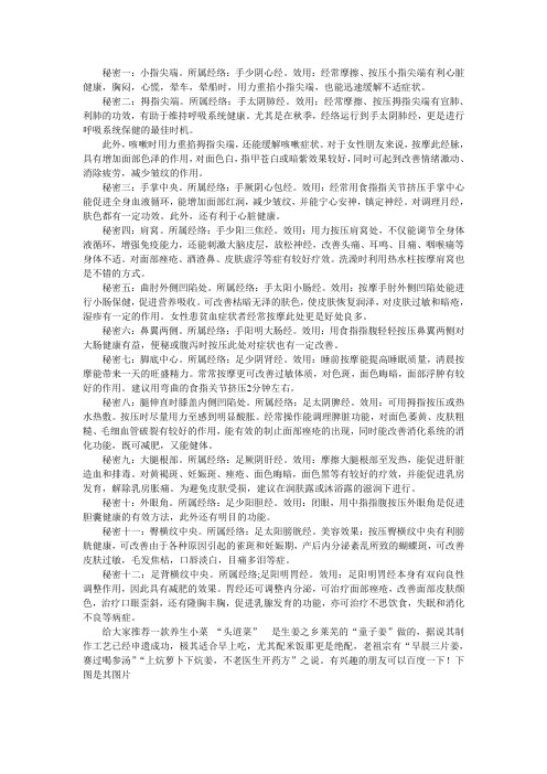 经络养生头道菜