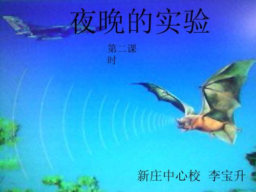 12、《夜晚的实验》PPT课件之(2)