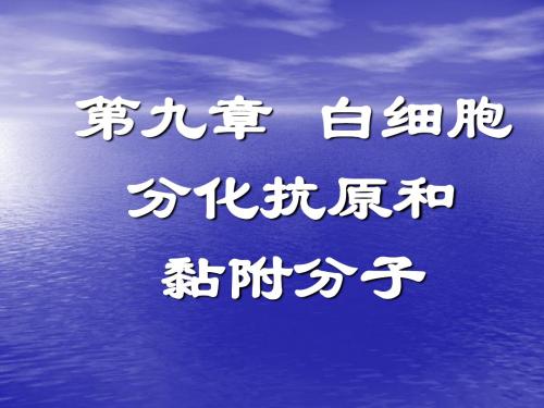 9 白细胞分化抗原和黏附分子(jg)
