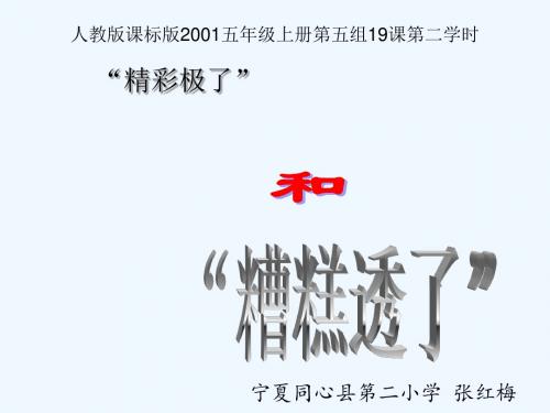 语文人教版五年级上册《“精彩极了”和“糟糕透了”》第二课时