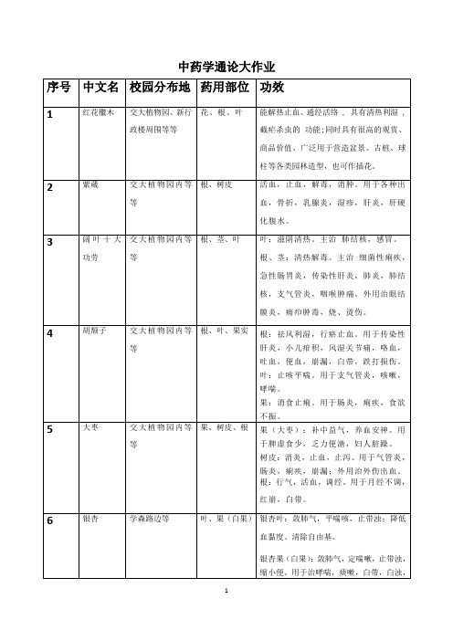 中药学通论课外作业