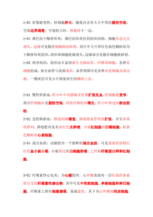病理切片