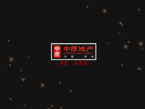 中原地产城市布鲁斯前期策划方案
