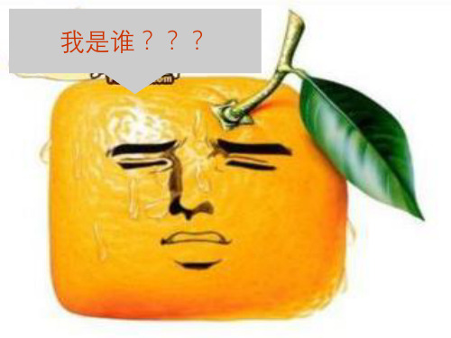 认识一元一次方程认识一元一次方程优秀课件