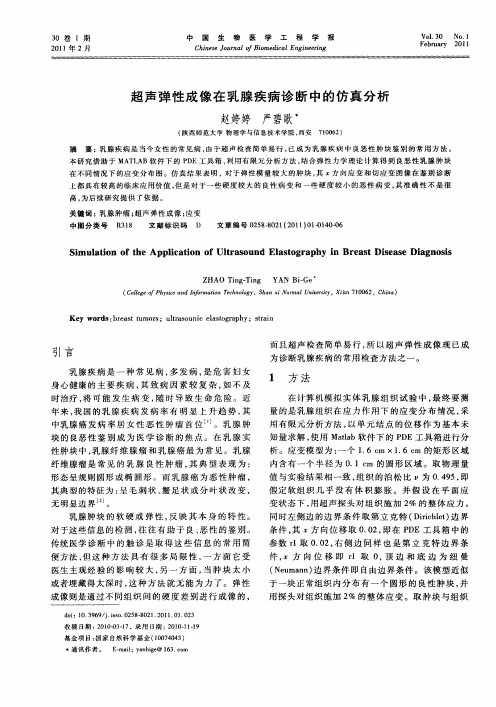 超声弹性成像在乳腺疾病诊断中的仿真分析