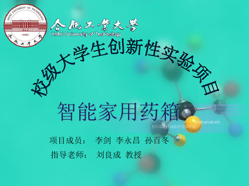 合肥工业大学校级大学生创新训练计划项目答辩模板