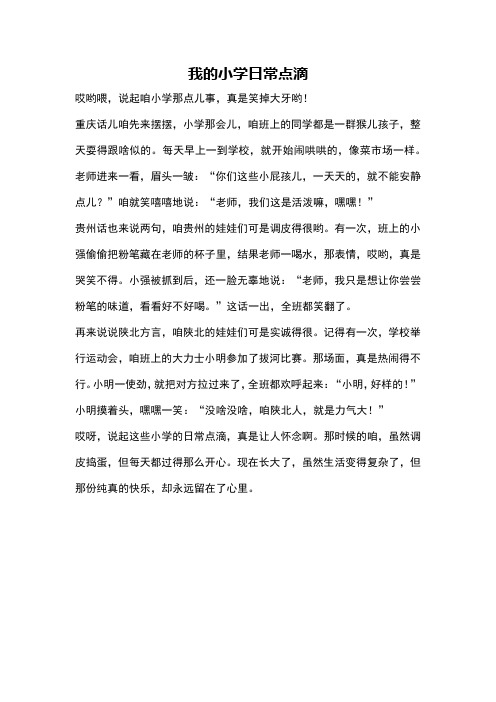 我的小学日常点滴