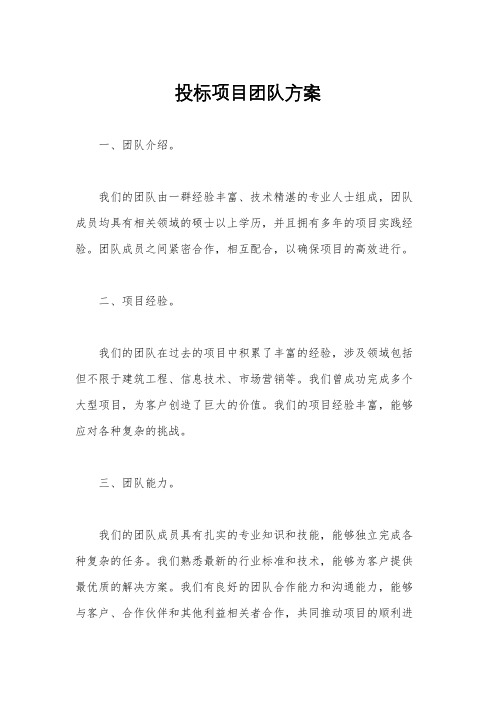 投标项目团队方案