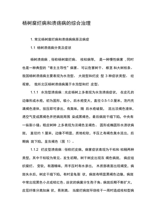 杨树腐烂病和溃疡病的综合治理
