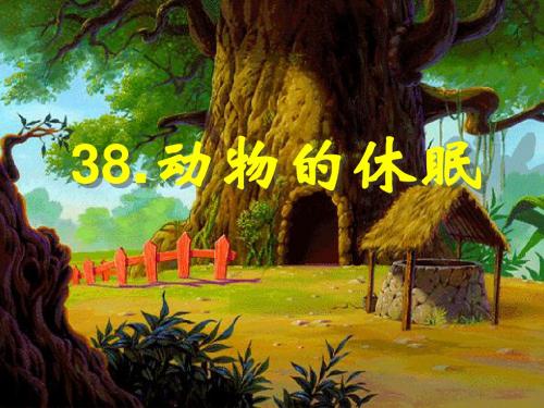 优选教育三年级上语文课件动物的休眠丨沪教版.ppt