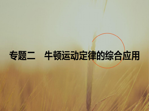 2018高考物理人教一轮复习全程构想课件：专题二 牛顿运动定律的综合应用 共52张 精品