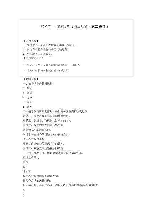 浙教版科学八年级下册4.4植物的茎与物质运输教案(3)