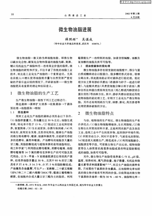 微生物油脂进展