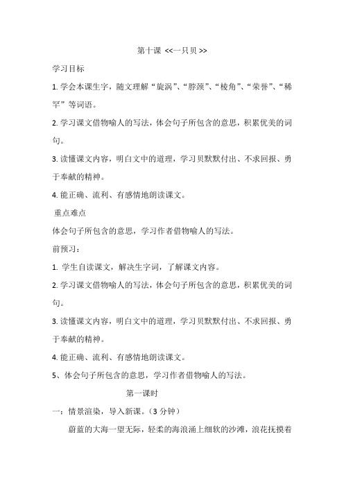 西师大版五年级上册一只贝
