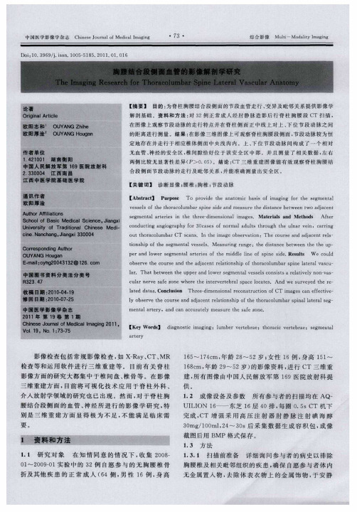 胸腰结合段侧面血管的影像解剖学研究