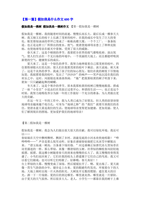 假如我是什么作文600字