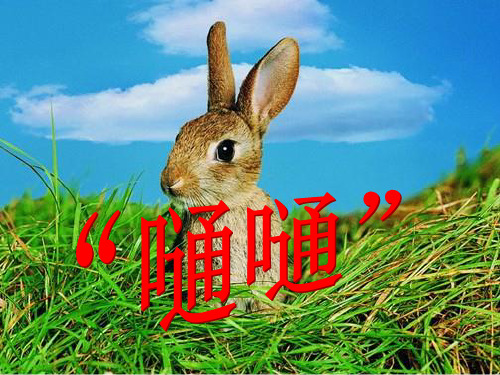 六年级上册语文课件《“嗵嗵”》｜长春版 (共18张PPT)