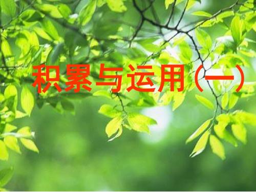 积累与运用一(西师版四语下)