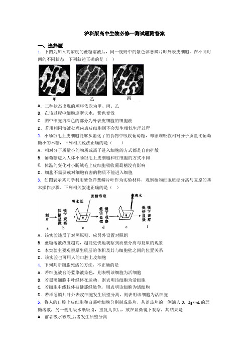 沪科版高中生物必修一测试题附答案
