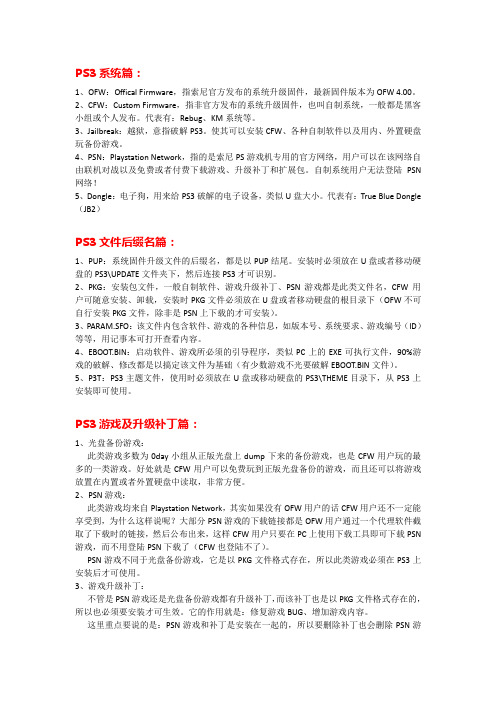 PS3各类名词解释