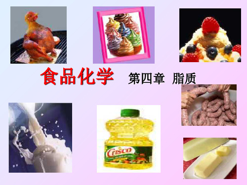 食品化学Fat ppt课件