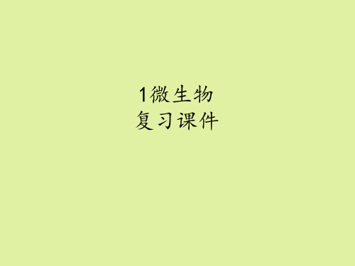 上海科学技术出版社高中生命科学拓展型课程：1  微生物 复习课件