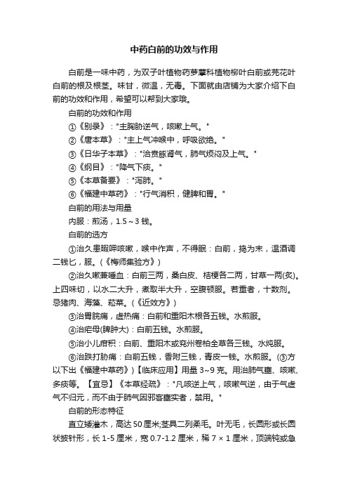 中药白前的功效与作用