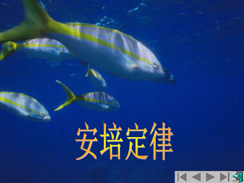 安培定律