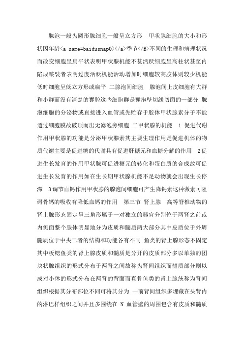 内分泌器官课件