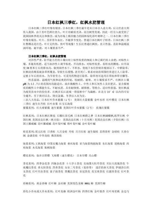 日本红枫三季红,红枫水肥管理