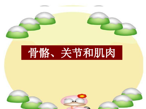 《骨骼关节和肌肉》(教科版小学科学四年级上册)PPT课件