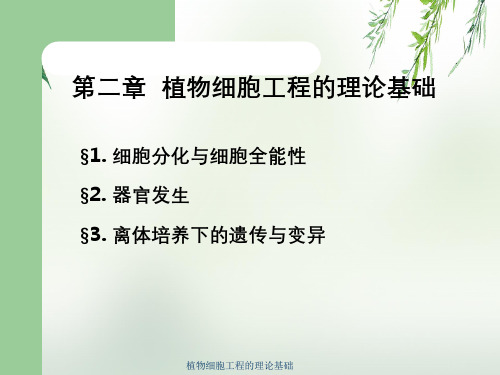 植物细胞工程的理论基础