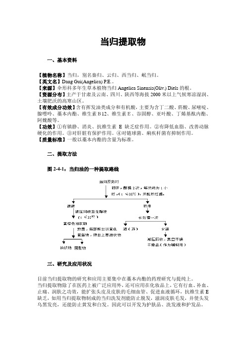 当归提取物
