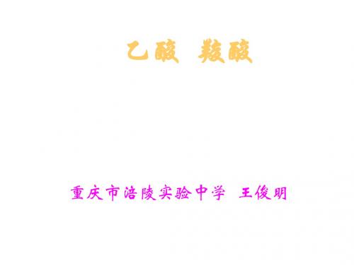 高二化学乙酸和羧酸2