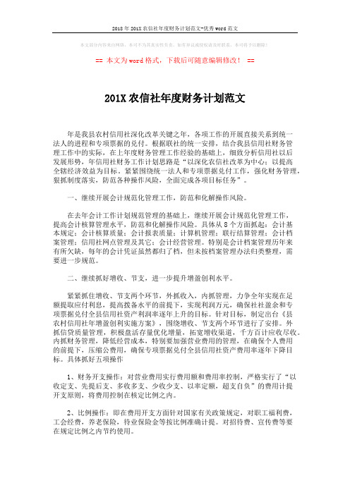 2018年201X农信社年度财务计划范文-优秀word范文 (3页)