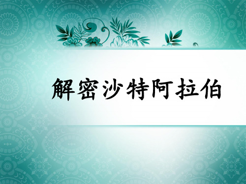 沙特阿拉伯